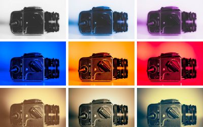 Cross Pollination – 5 Frames with…
