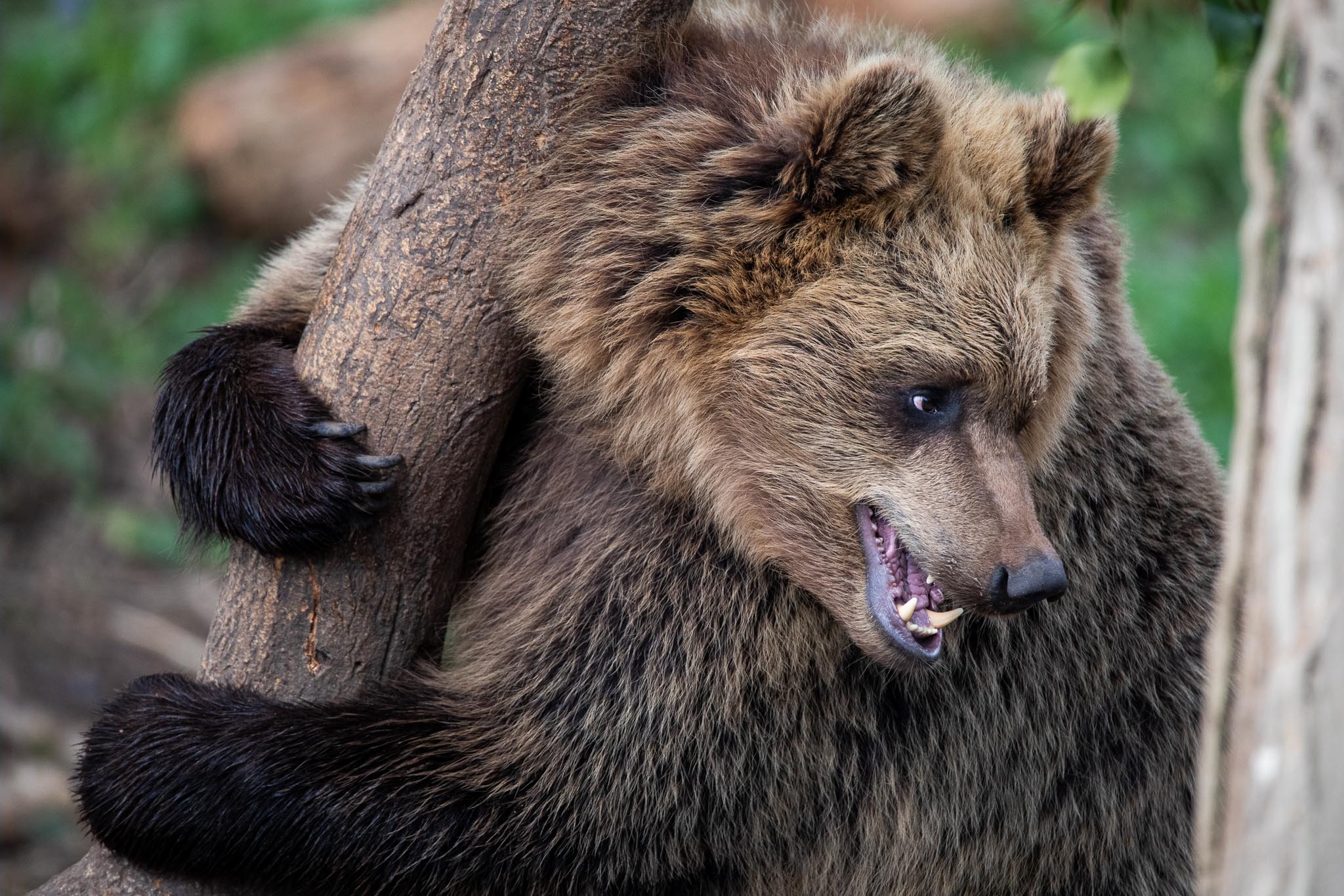 3I4A3286-Enhanced - Website