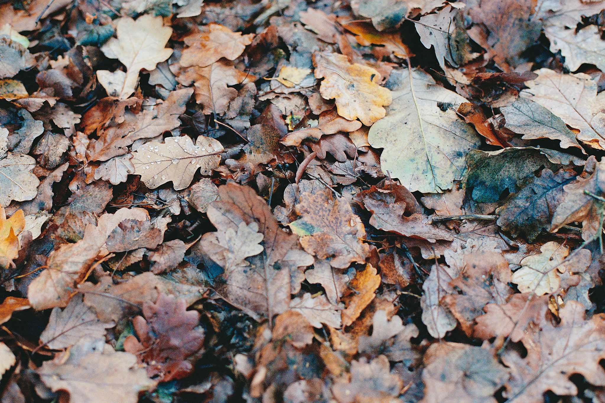 Photo12_9A-Enhanced - Website