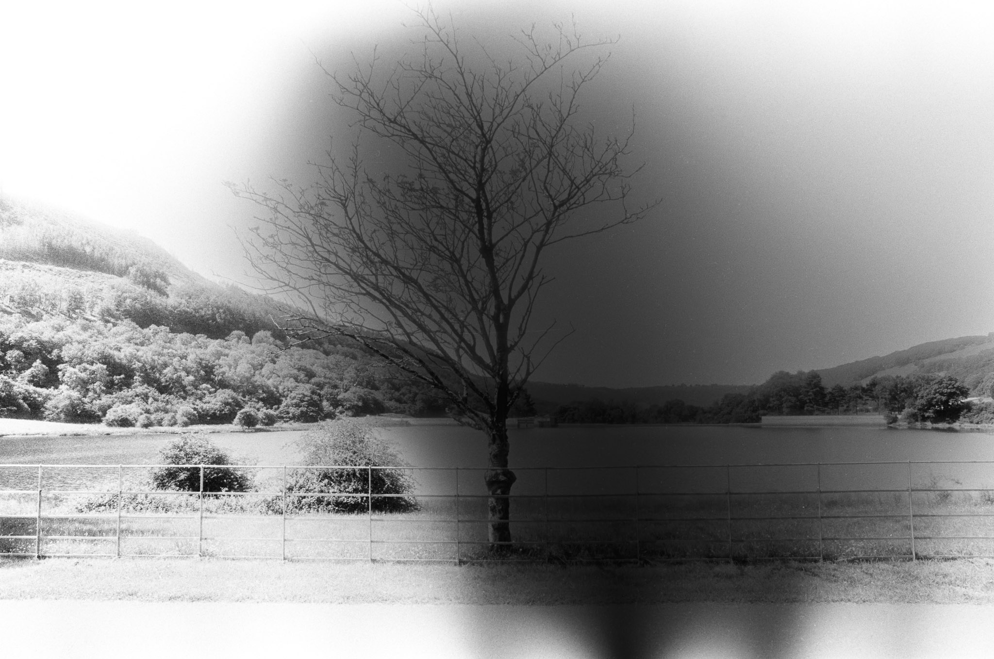 031140010022 - Website
